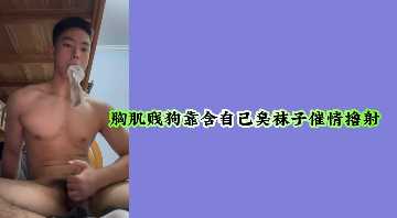 aa在线-免费国语版手机免费观看完整